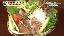 【清水理央_小西夏菜実】260121_わけもん！！_週刊日向坂ニュースリターンズ_りおななコンビが宮崎で推し観光地を探す旅1-