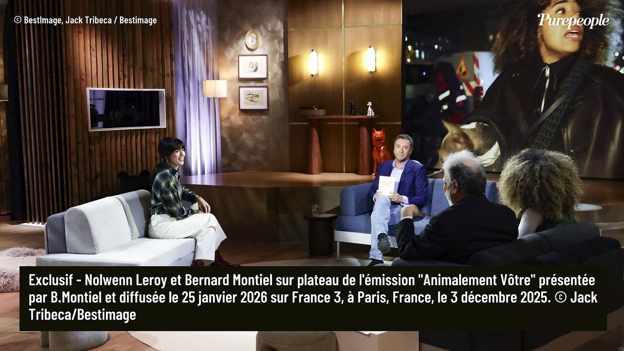 "J'ai dû délaisser cette passion" : Avant la musique, Nolwenn Leroy exerçait une activité pratiquée par 675 000 Français