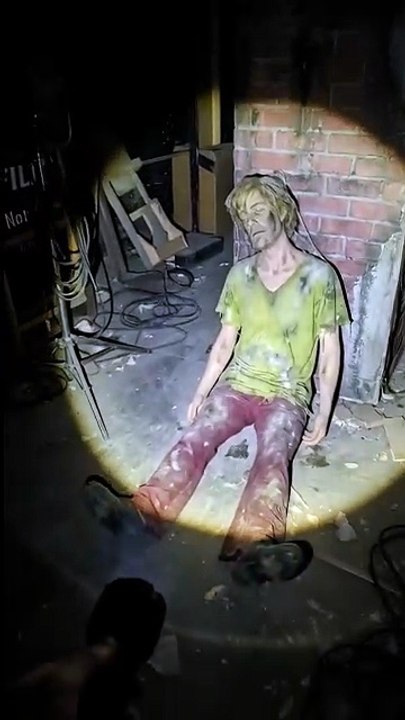 scooby doo characters found an old house .