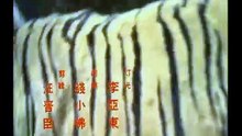 1969年臺灣電影：乾坤三決鬥（全片）