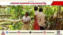 ആനപ്പേടിയിൽ ഒരു ​ഗ്രാമം; ഒരായുസിന്റെ സമ്പാദ്യങ്ങളെല്ലാം ഉപേക്ഷിച്ച് പോകുന്നവർ ഏറെ