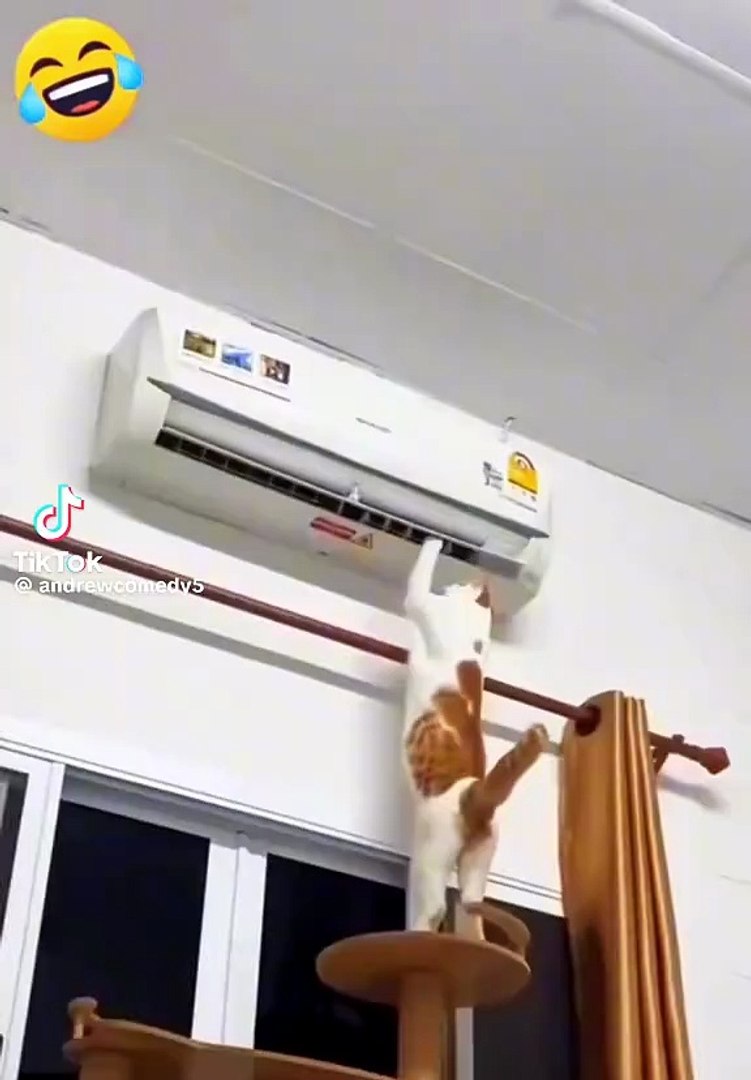 Funny moments #funny #comedy #viral