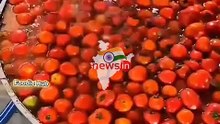 Indias tomatoe ketchup factory [Video]