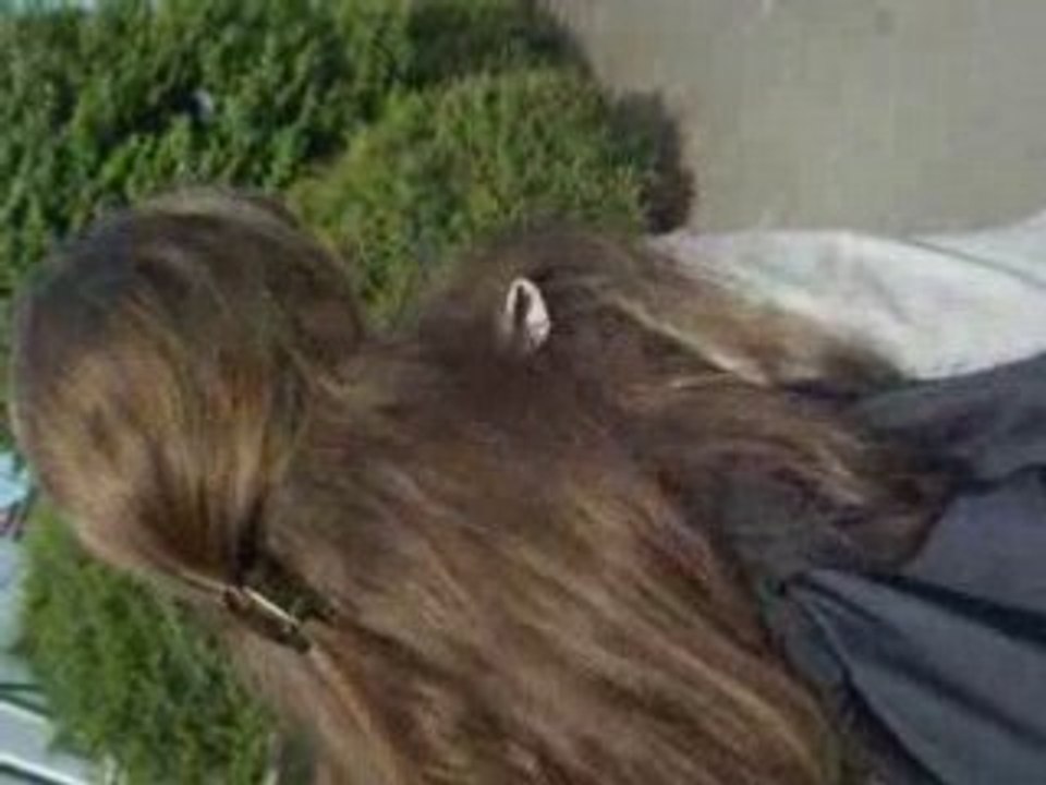 APREM AVEC BESTHAA x3