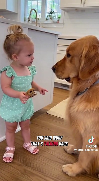 Animals and Baby's funny Conversations