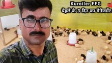 Koiler ffg Shuru ke 3 Din Ka management | Koiler form | desi murgi palan