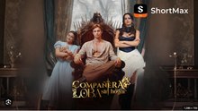 Mi Compañera Loba Sin Hogar- Full Movies English Sub
