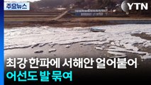 최강 한파에 서해안 얼어붙어...어선도 발 묶여 / YTN