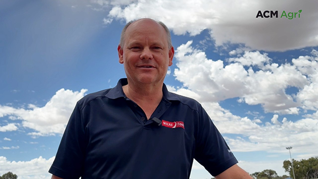 Methane-reducing sheep feed to debut at 2026 Wagin Woolorama