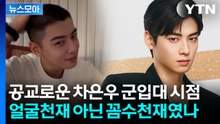 [뉴스모아] "과감하고 구조적인 꼼수"…'탈세 의혹' 차은우, 시작된 줄손절 / YTN