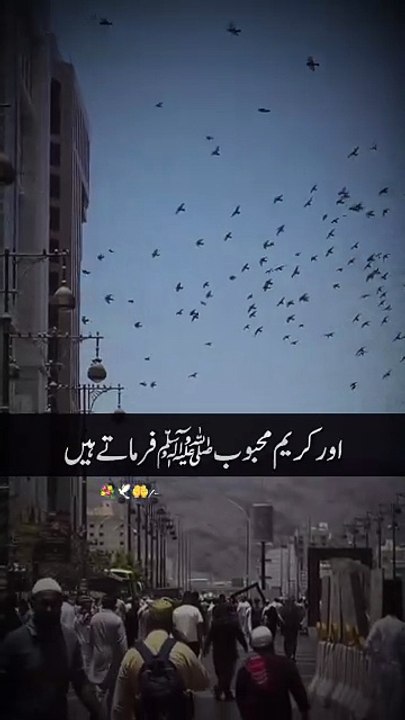 Beshak SubhanAllah Madina Sharif Bahut hi Khubsurat Bayan🕋❤️🕋