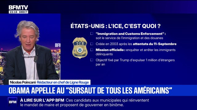 Alex Pretti abattu à Minneapolis: qu'est-ce que l'Immigration and Customs Enforcement (ICE) ?