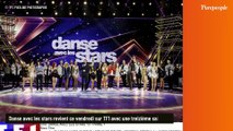 Danse avec les stars : Une figure de l'émission évoque le salaire qu'il a touché, il y a un élément 