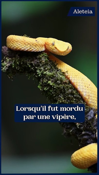 Comment saint Paul a évangélisé Malte ?