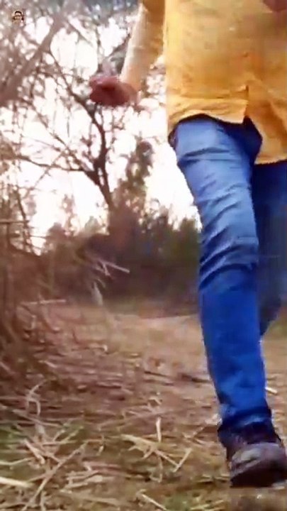 भूत प्रेत का साया | Horror stories | horror stories animated