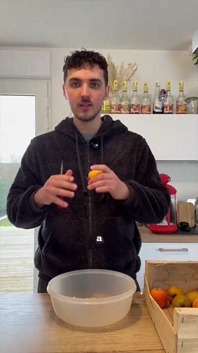 Comment les araignées ne collent pas à leur toile ? #araignées #toile #animaux #nature #science