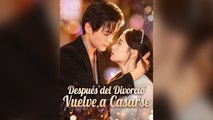 DespuéS Del Divorcio, Vuelve A Casarse PelíCula Completa Sub EspañOl