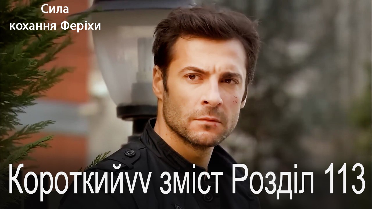 113.Розділ Короткий зміст