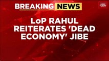 Rahul Gandhi Slams PM Modi Over Trump Tariffs: '4.5 Crore Jobs At Stake In Dead Economy'