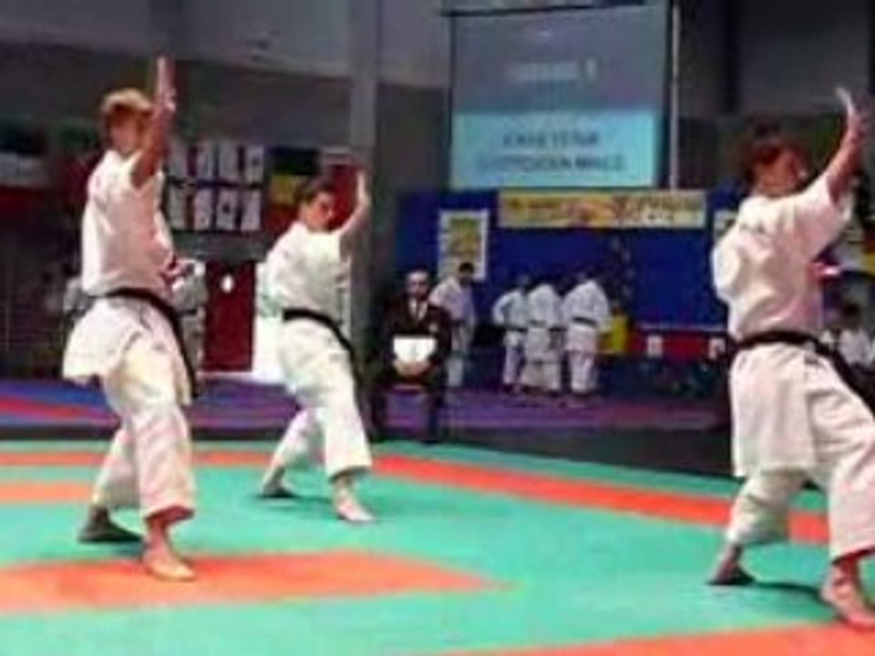 Championnat d'Europe Karaté Wuko 2008 Katas équipes