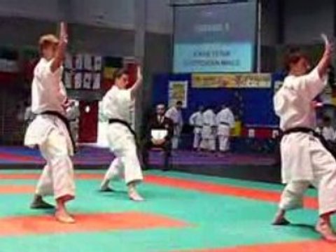 Championnat d'Europe Karaté Wuko 2008 Katas équipes