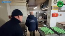 Il video dell'operazione di polizia a Catania, trovate blatte nella farina e 250 chili di prodotti scaduti: chiuso un bar