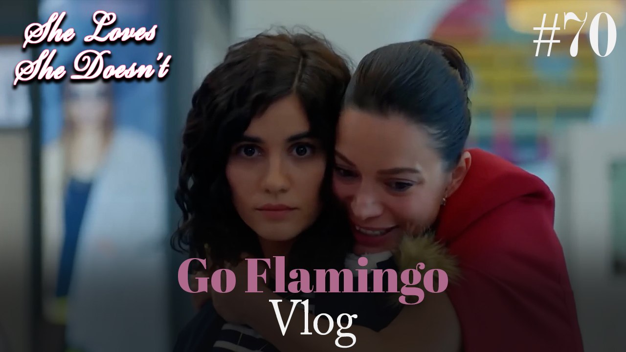 Go Flamingo Vlog #70