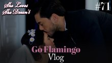 Go Flamingo Vlog #71