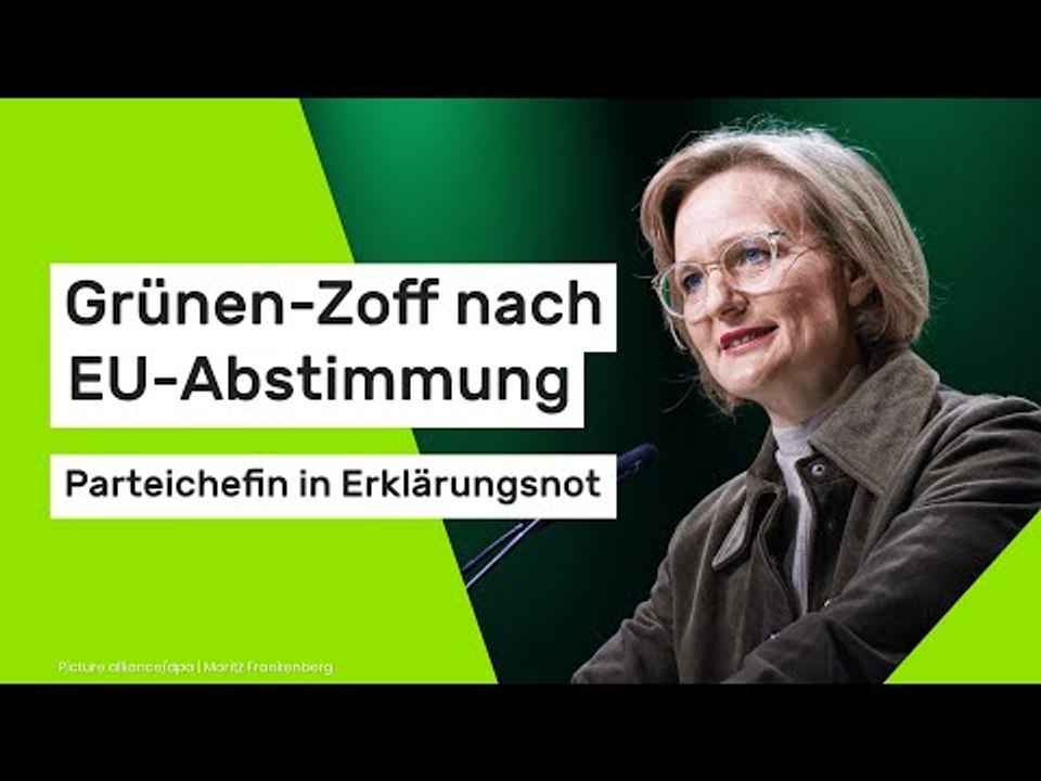 Franziska Brantner: Grünen-Zoff nach EU-Abstimmung – Parteichefin in Erklärungsnot