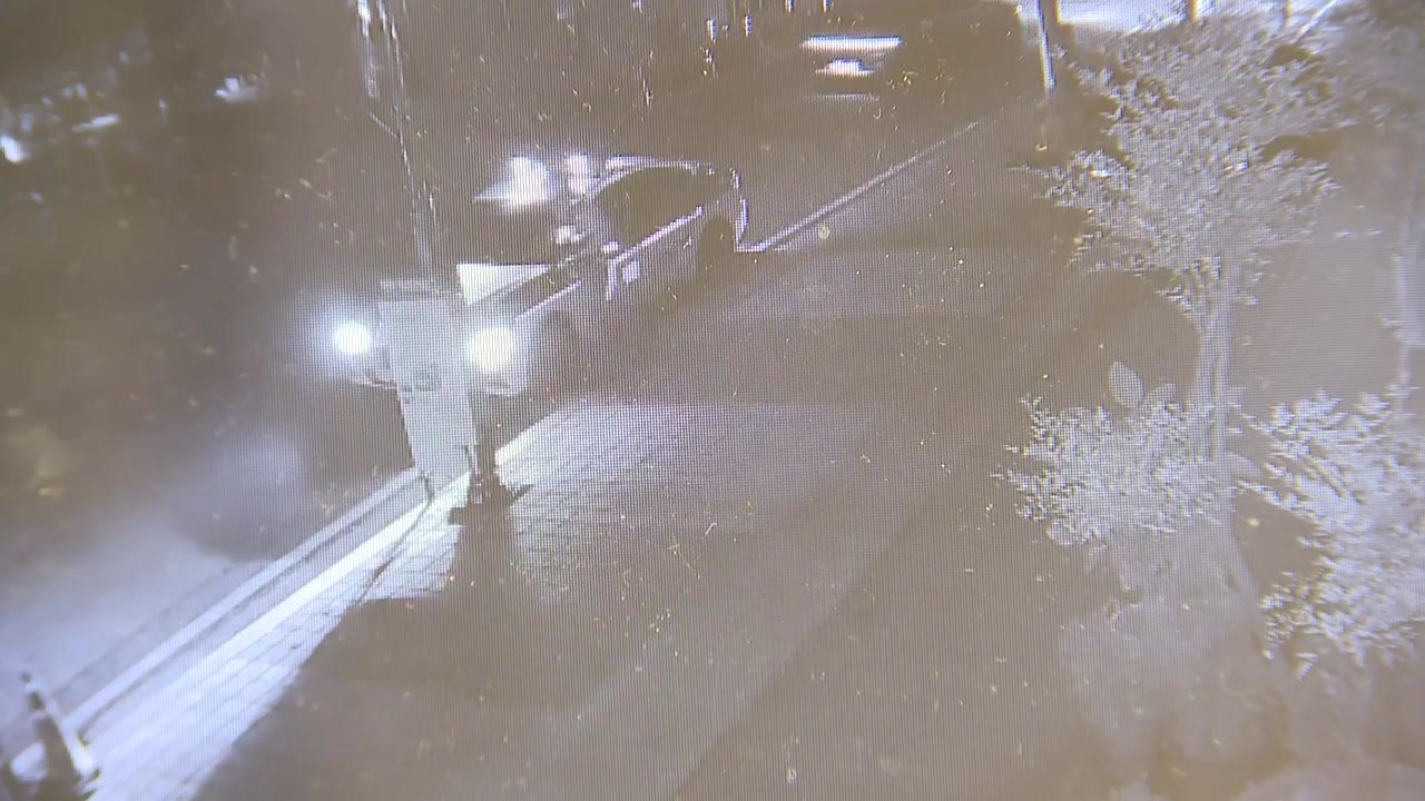 ’불송치 결정’ 나나, 자택 침입 강도 무고죄로 고소 / YTN