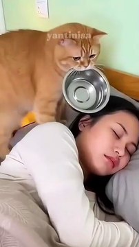 বাংলাদেশ রাজনীতি Bangladesh politics রাজনৈতিক খবর BNP news Awami League news তারেক রহমান শেখ হাসিনা খালেদা জিয়া Bangladesh political news politics bangla