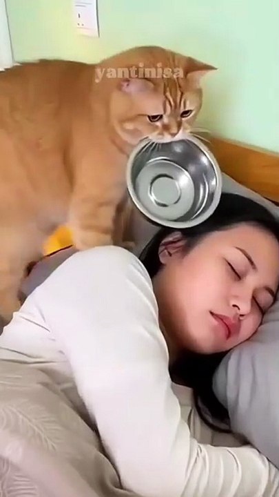 বাংলাদেশ রাজনীতি Bangladesh politics রাজনৈতিক খবর BNP news Awami League news তারেক রহমান শেখ হাসিনা খালেদা জিয়া Bangladesh political news politics bangla