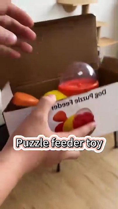 Puzzle feeder toy