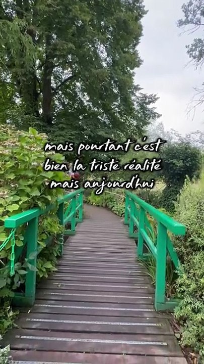 La triste réalité