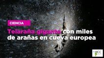 Telaraña gigante con miles de arañas en cueva europea