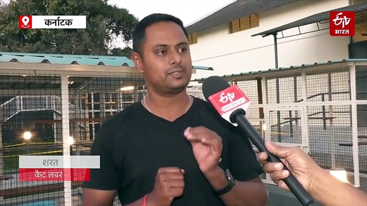 बिल्लियों का अनोखा संसार: मैसूर में खुला भारत का पहला कैट एम्यूजमेंट पार्क और म्यूजियम