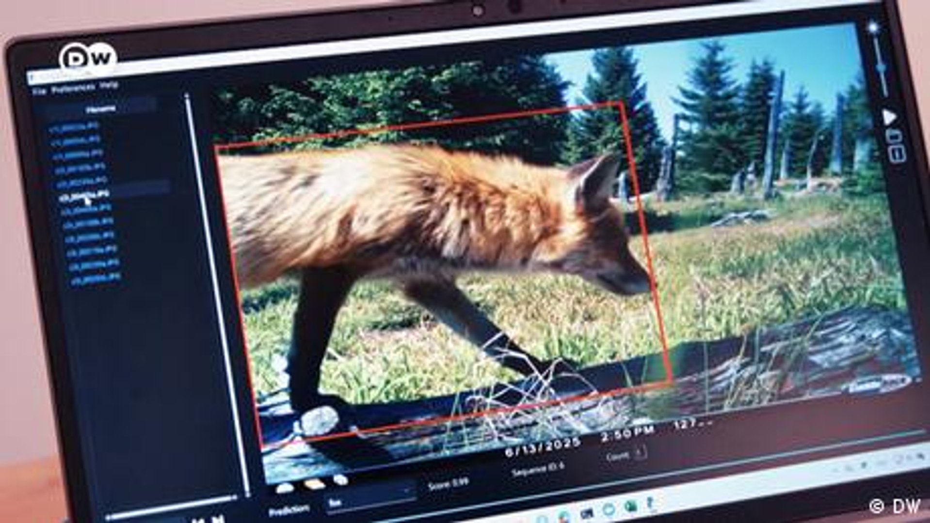 ⁣How artificial intelligence can protect Germany's national parks