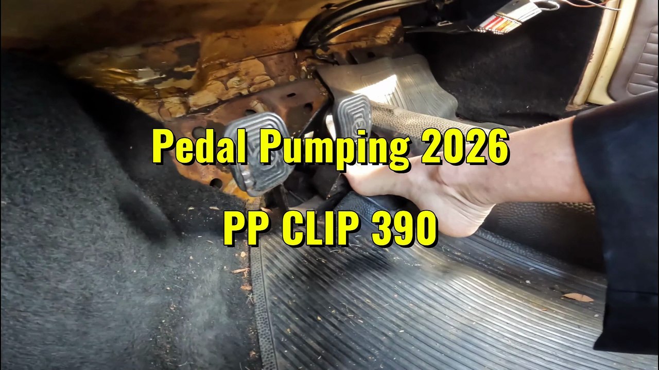 PP CLIP 390