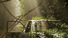 From Rust to Life | Abandoned Car Restoration in Nature