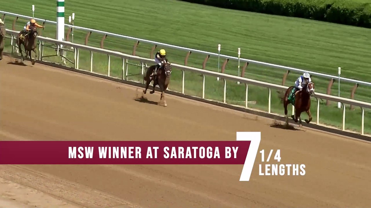 Gainesway - Locked