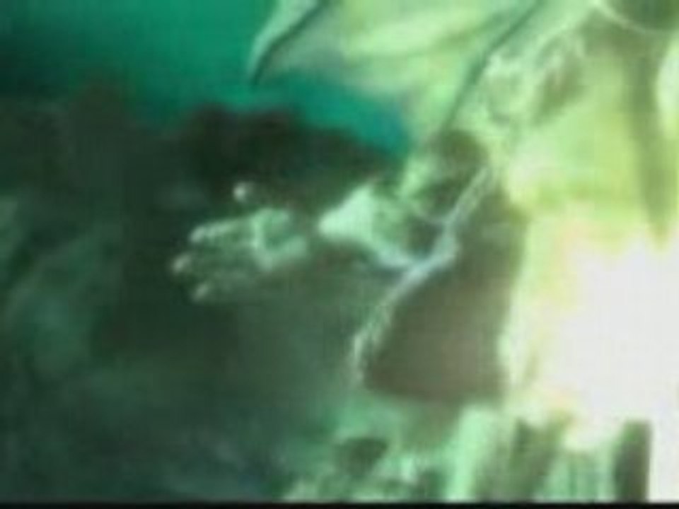 Warcraft III - Fin Chapitre Orc - Mort d'Hellscream