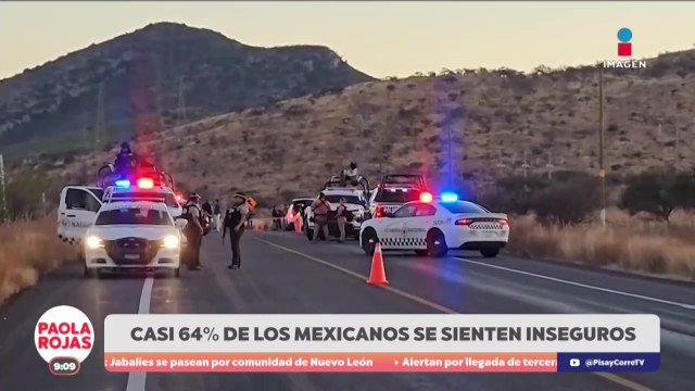 Casi 64% de mexicanos se sienten inseguros, según INEGI | DPC con Paola Rojas