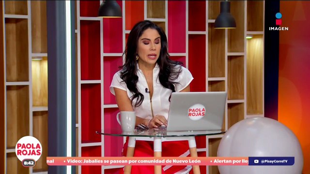 Aprueban a Gertz Manero como embajador en Reino Unido | DPC con Paola Rojas