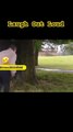 Laugh Out Loud #funny #shorts #shortsfeed #funnyshorts