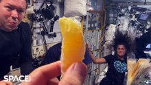 Slow Motion Video Captures Astronaut Eating A Slice Of Orange In Space Station