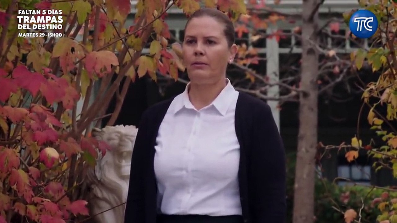 40. Destino Roto (Toprak Ile Fidan), en español