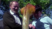 The.Day.Of.The.Triffids.S01e01.1080P.Bluray.X264-Carved-1
