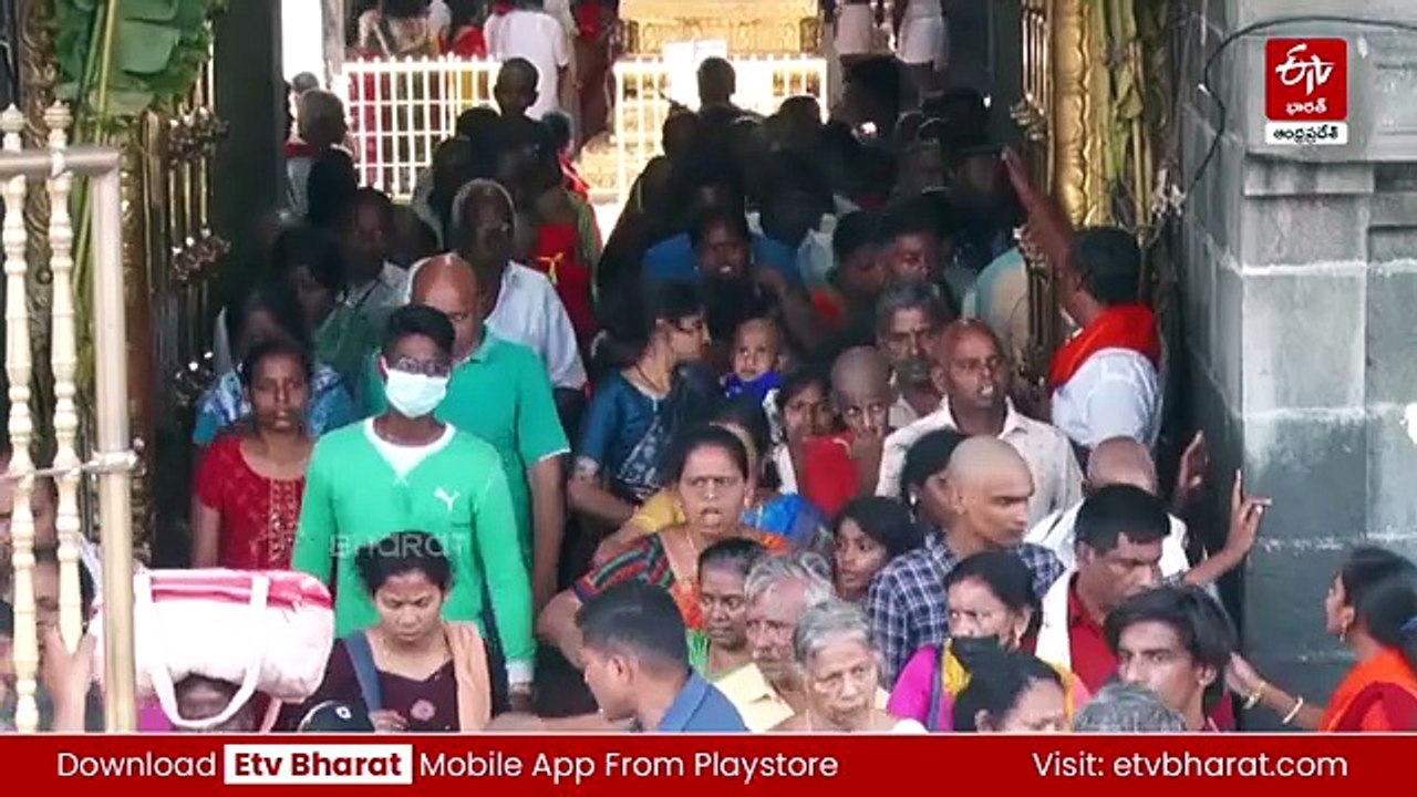 శ్రీవారి లడ్డూ కోసం పాలే లేని నెయ్యి, సువాసన కోసం రసాయనాలు - ఫైనల్ ఛార్జిషీట్​లో నిగ్గుతేల్చిన సిట్‌