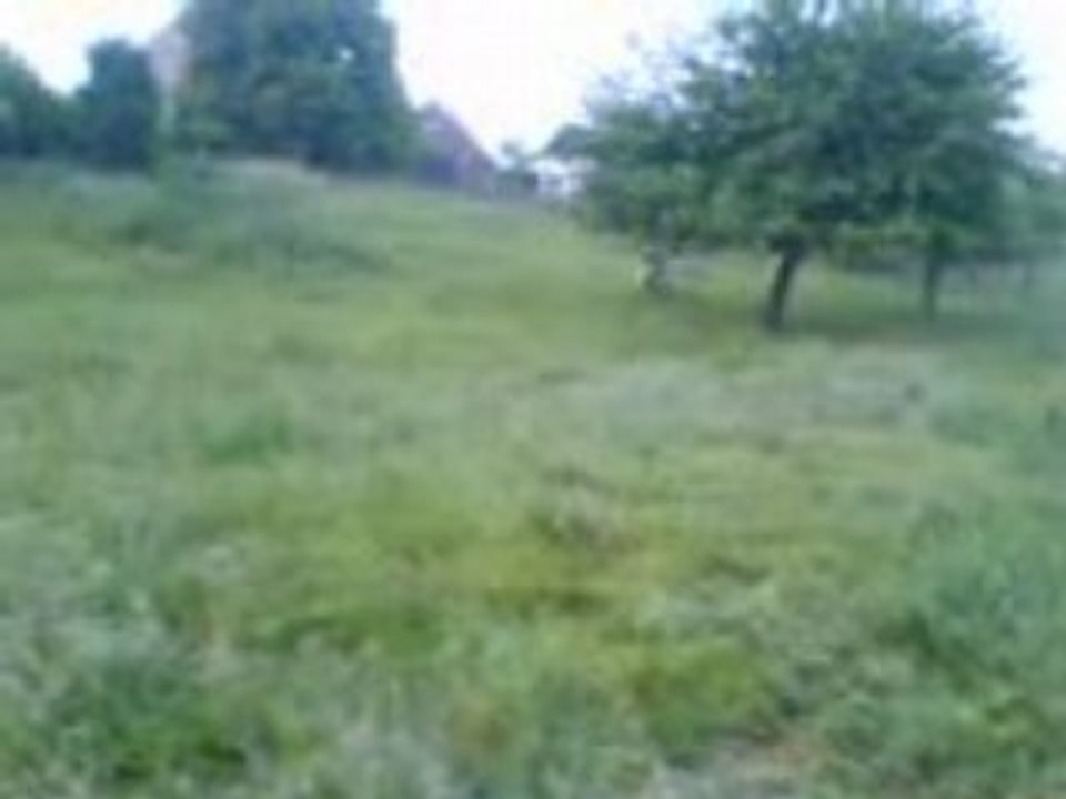 Peugeot 102 en pleine pature