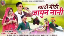 Adiwasi Song - खाठी मीठी जामुन नानी के खवाड़ो __ Singer - Sumit Kirade __ Rakesh Dudwe New Song